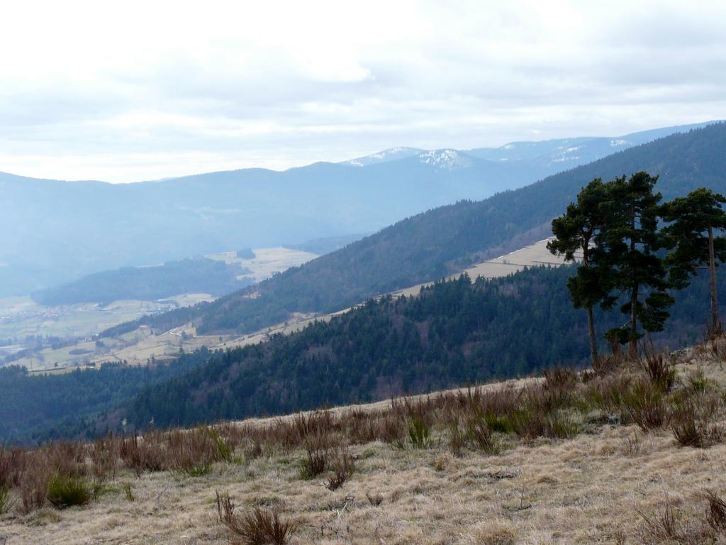 Burdignes, 08-03-09, 12-47.jpg